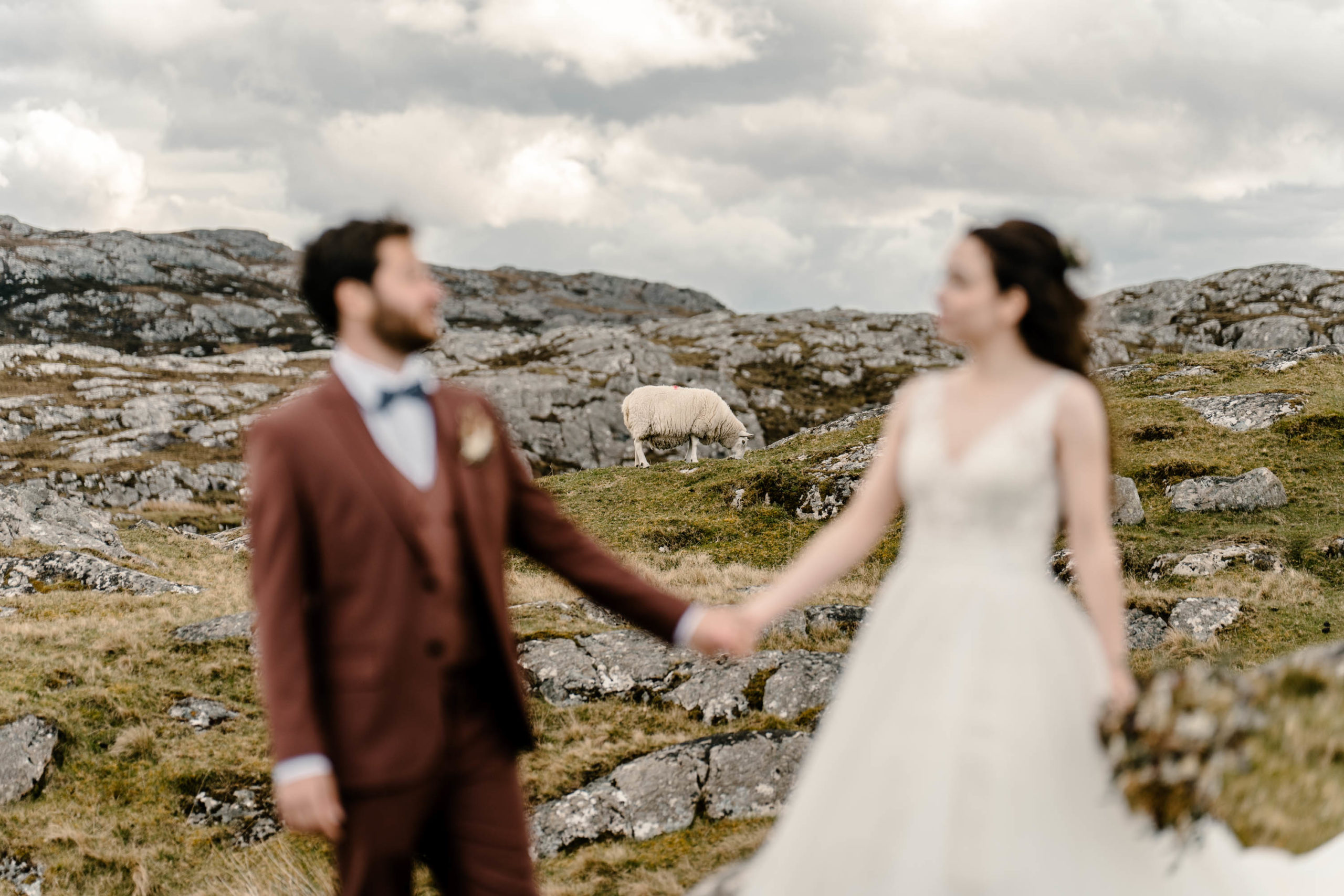 Bride and groom holding hands in a rugged Scottish landscape with sheep grazing