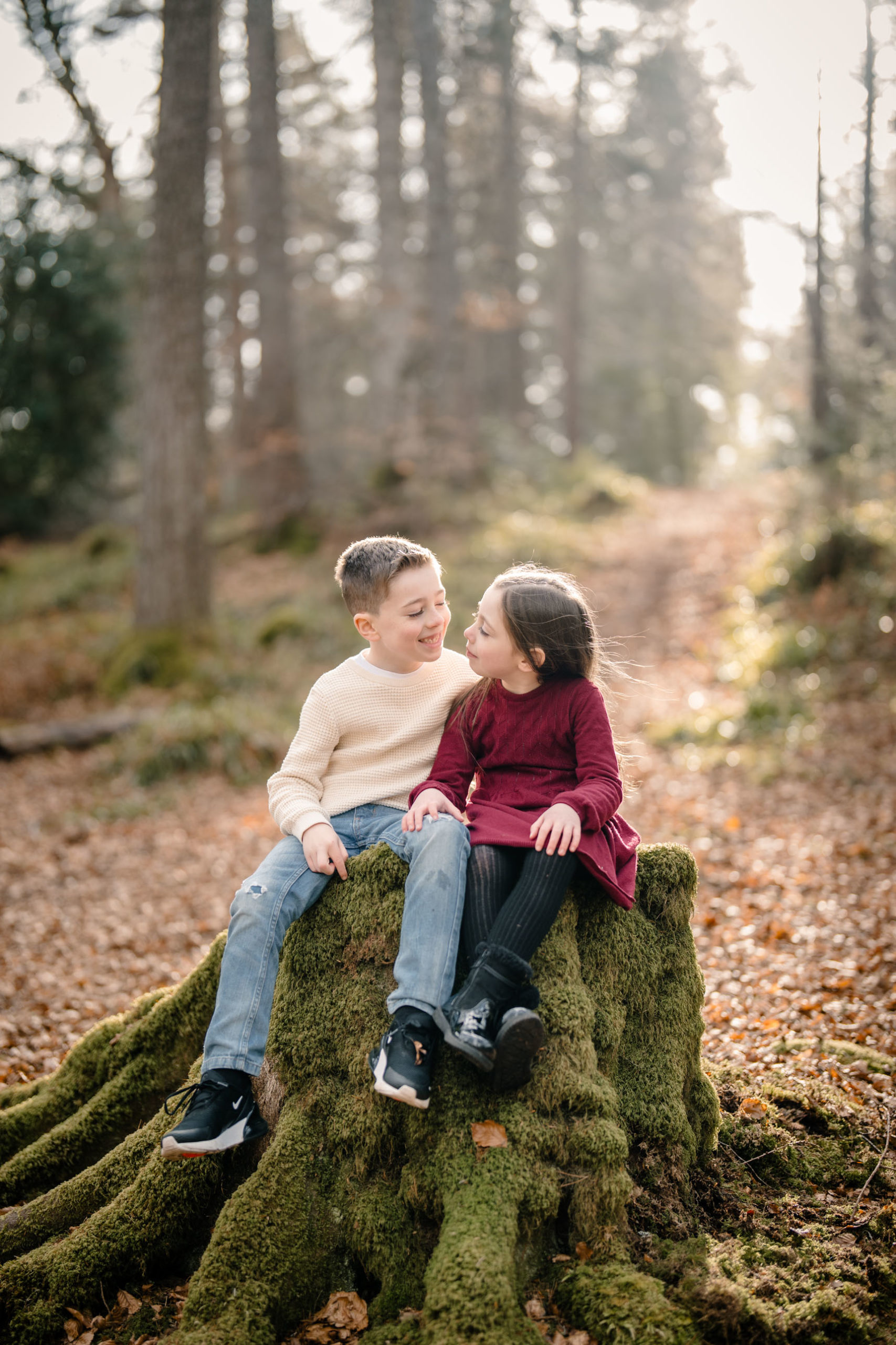 Brother and sister sitting side by side on a tree stump in a woodland setting.