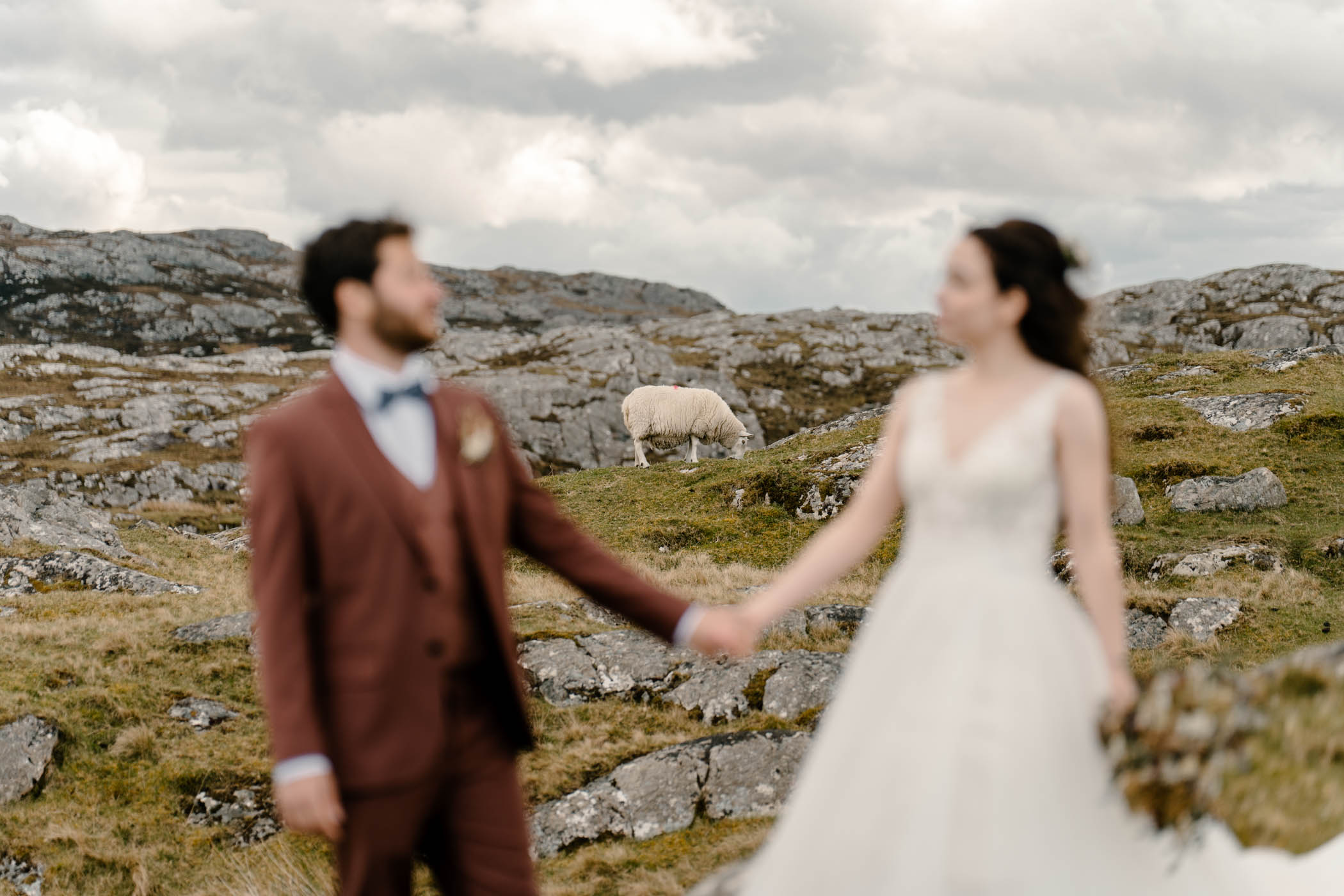 Couple holding hands while sheep graze nearby